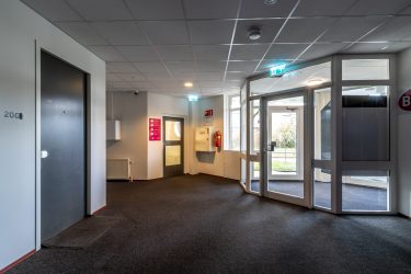 78554447_IMG_9959