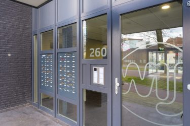 70925381_2